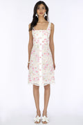 Haleia Cotton Candy Dantel Elbise