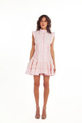 Haleia Dreamy Pink Korse Detaylı Devore Mini Elbise